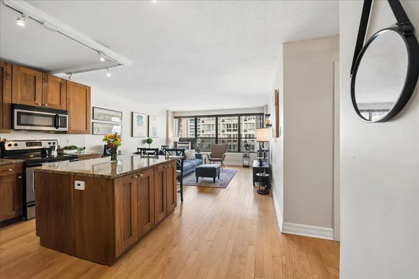 $250,000 | 2930 North Sheridan Road, Unit 1009, Chicago, IL 60657
