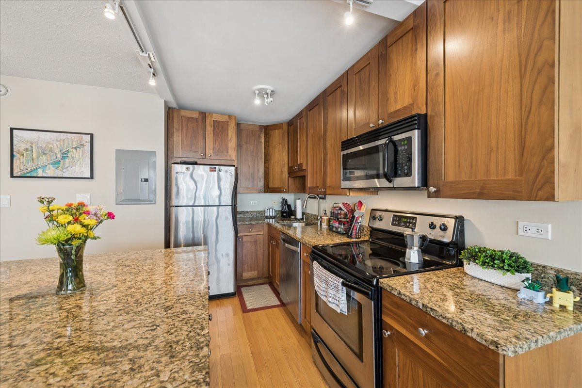 2930 North Sheridan Road, Unit 1009 Chicago, IL 60657 - Photo 3 of 15