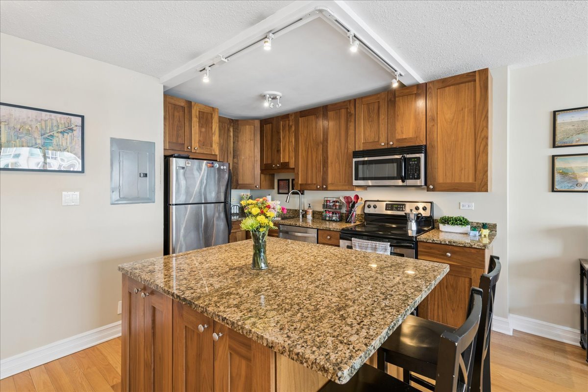 2930 North Sheridan Road, Unit 1009 Chicago, IL 60657 - Photo 4 of 15