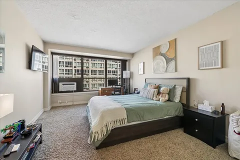 $250,000 | 2930 North Sheridan Road, Unit 1009, Chicago, IL 60657