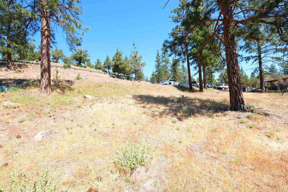 Lot 80 Spear Point Road Weed, CA 96094 - Photo 6 of 8 Gallery Image 6