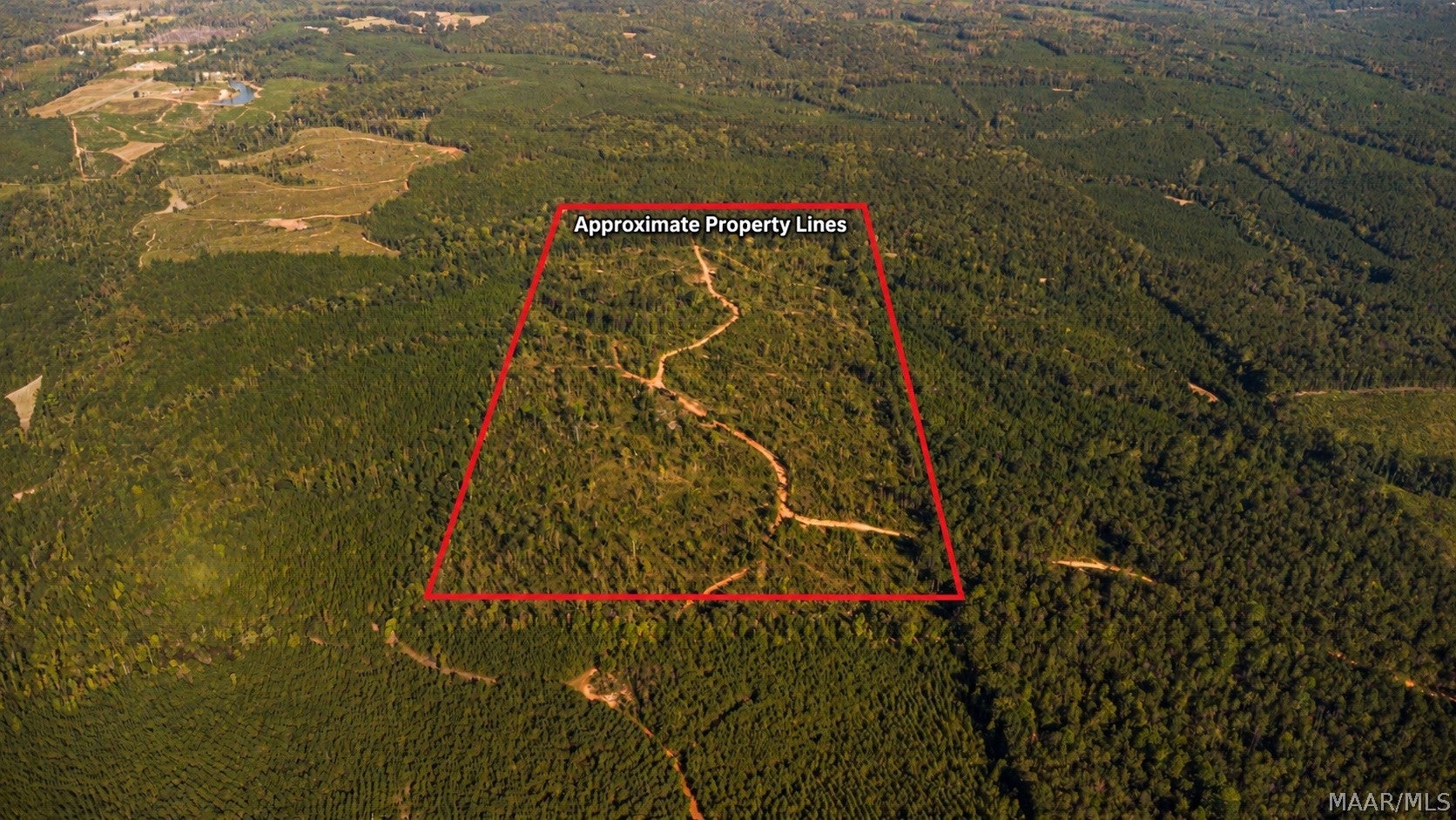 0 County Road 14 Road Equality, AL 36026 - Photo 1 of 11 Gallery Image 1