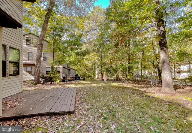 a view of a street with a tree in the background