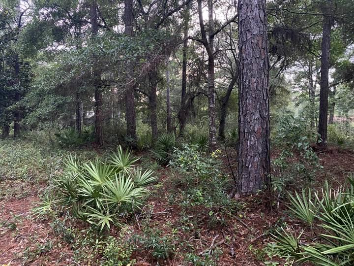 10419 Tanton Road Pensacola, FL 32506 - Photo 19 of 40 Gallery Image 19
