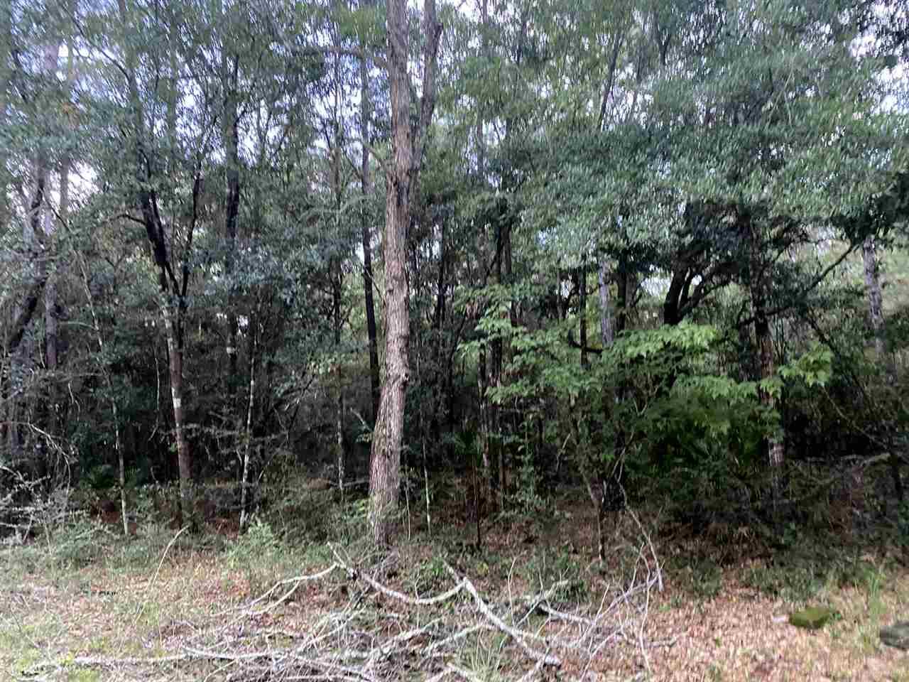 10419 Tanton Road Pensacola, FL 32506 - Photo 20 of 40 Gallery Image 20