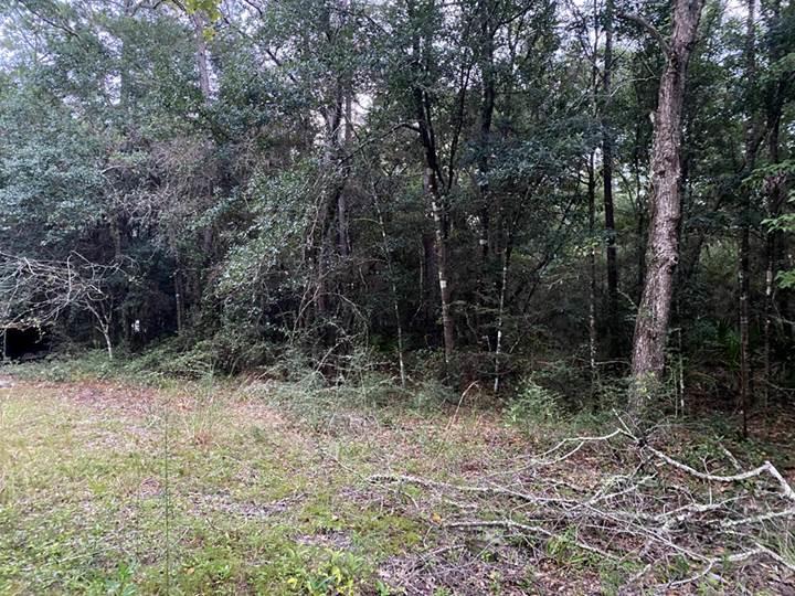 10419 Tanton Road Pensacola, FL 32506 - Photo 21 of 40 Gallery Image 21