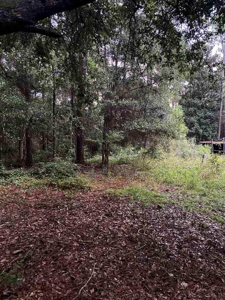 10419 Tanton Road Pensacola, FL 32506 - Photo 34 of 40 Gallery Image 34