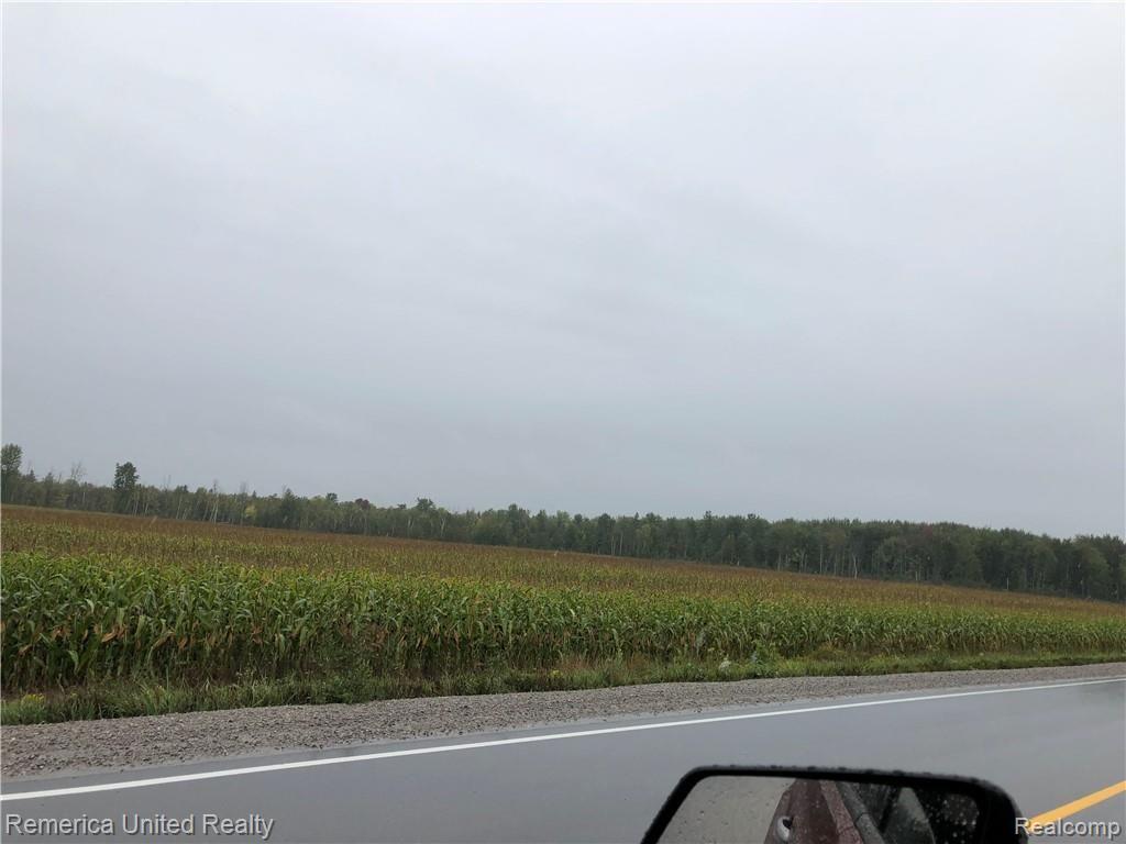 0 Long Rapids Road Lachine, MI 49753 - Photo 9 of 13