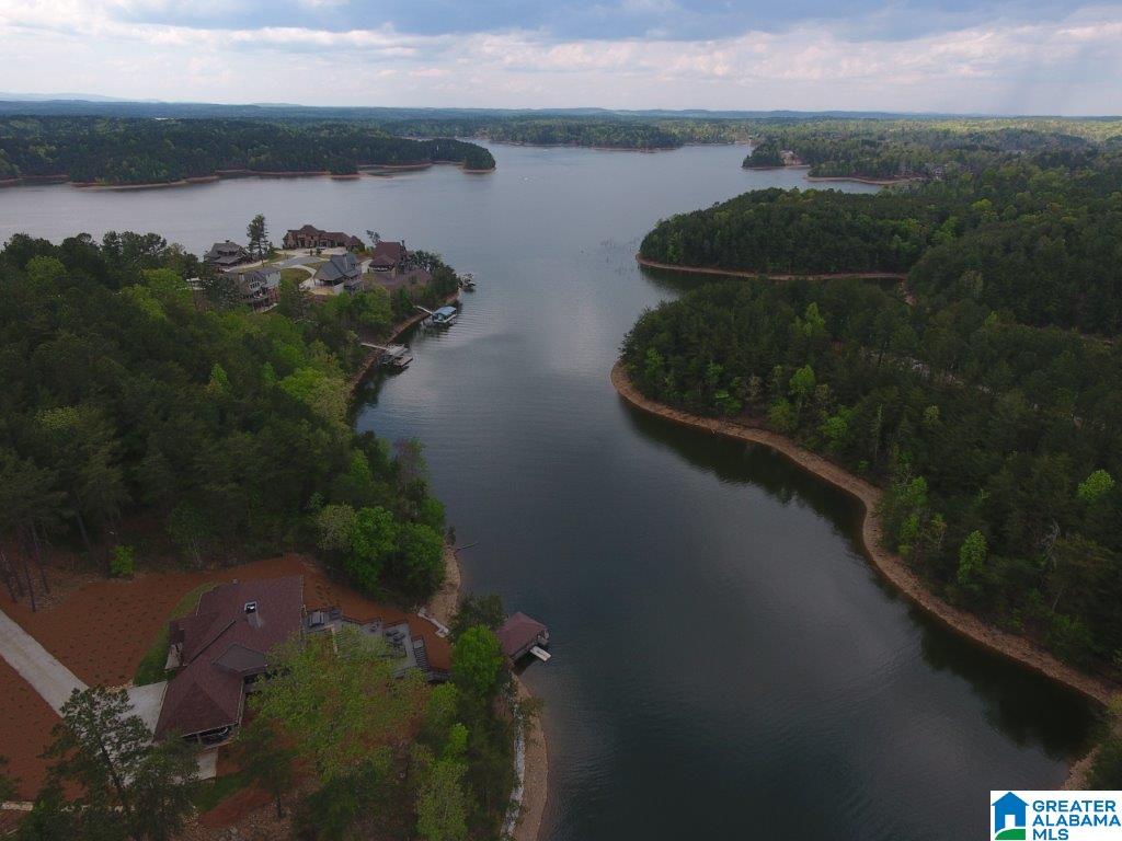 Aqua Drive, Unit 49 Wedowee, AL 36278 - Photo 3 of 4