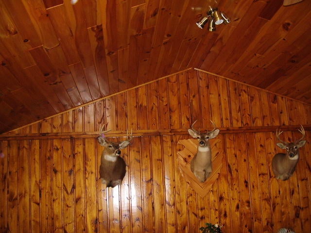 475 Abbott Road Rose City, MI 48654 - Photo 13 of 18 Gallery Image 13