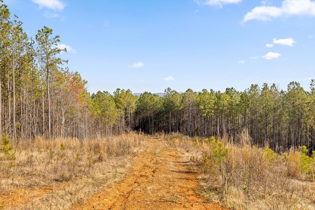3 Carver Mill Road Jasper, GA 30143 - Photo 11 of 46 Gallery Image 11