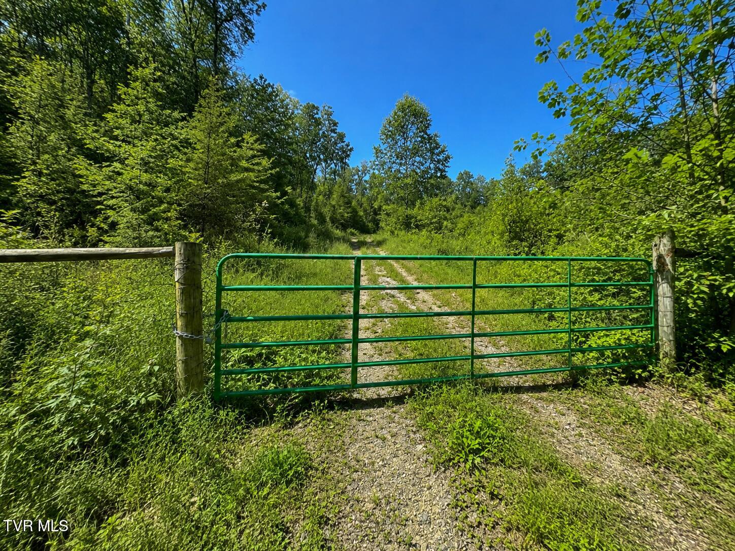 3456 Warrensburg Road, Unit 17 Whitesburg, TN 37891 - Photo 3 of 83 _Pic3 (1)