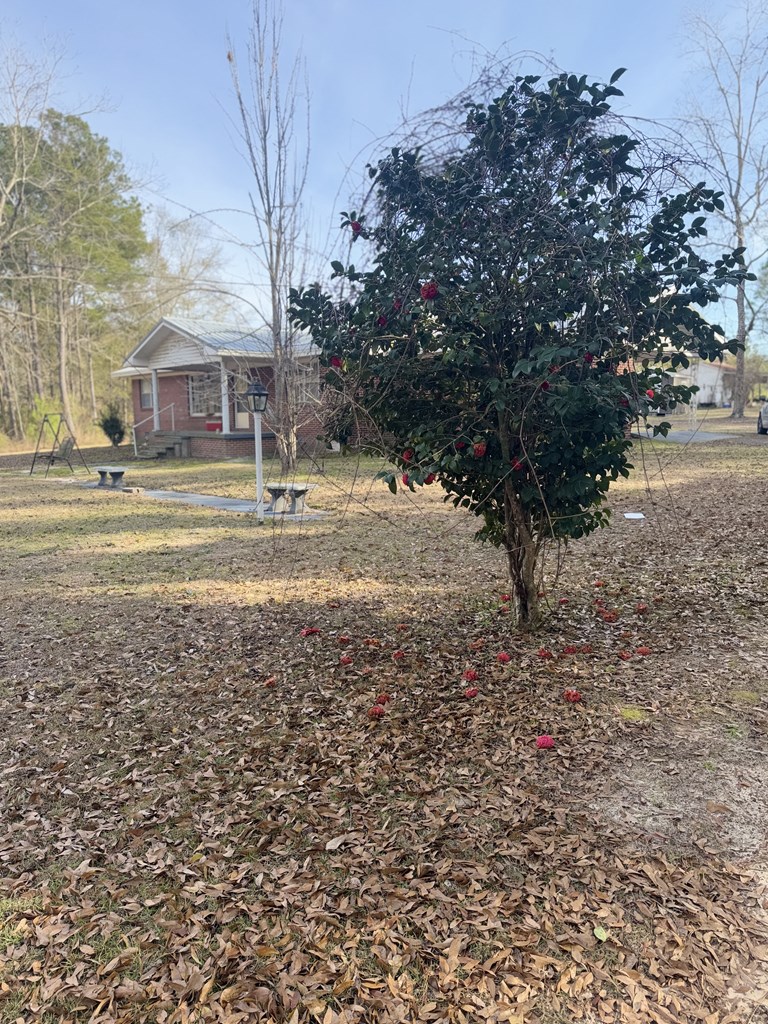 209 Pond View Lane Opp, AL 36467 - Photo 8 of 28