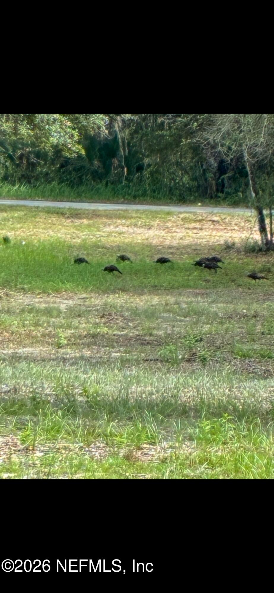 660 Old Welaka Road Satsuma, FL 32189 - Photo 11 of 28 a view of a lake