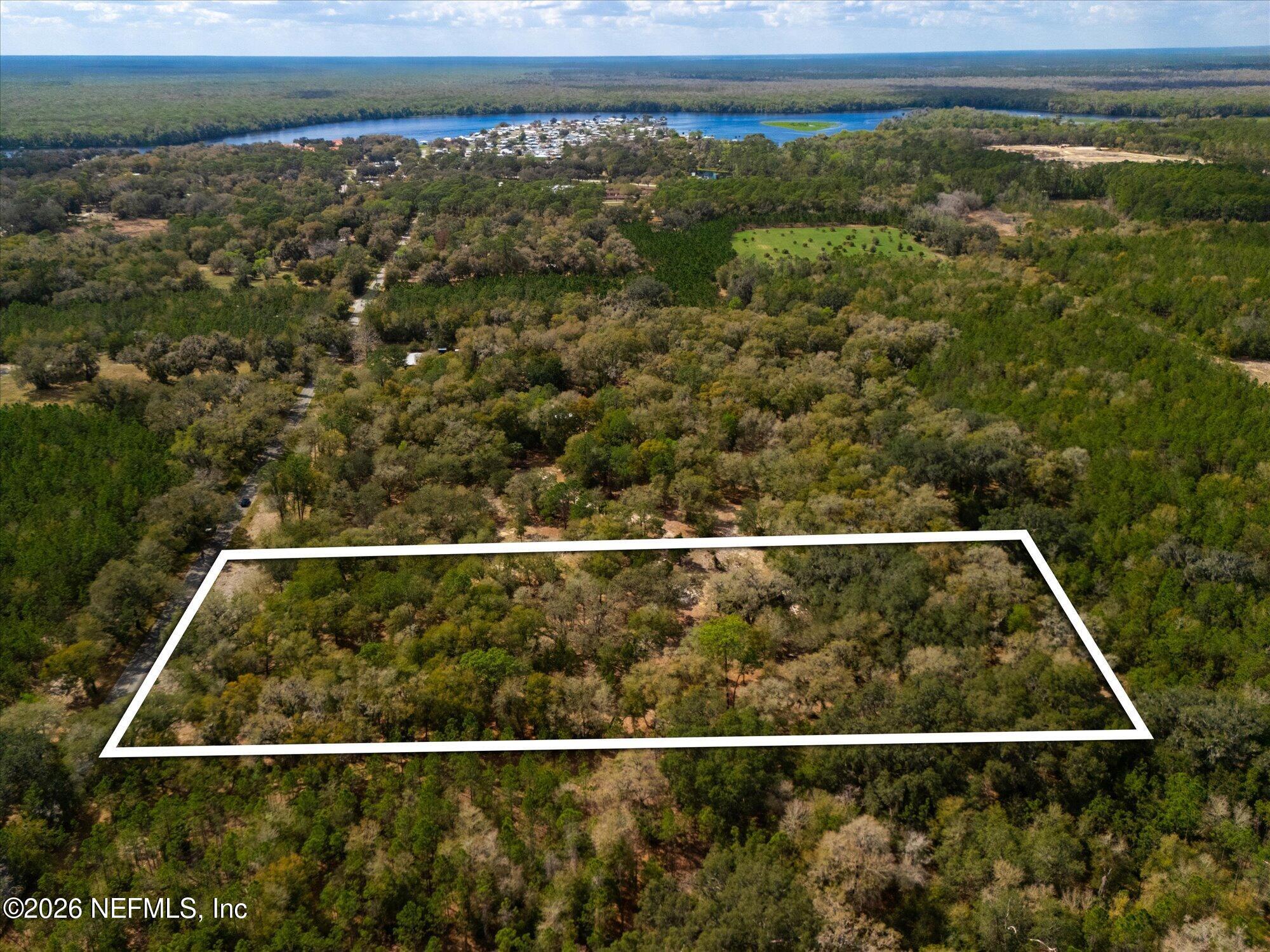 660 Old Welaka Road Satsuma, FL 32189 - Photo 14 of 28 a view of a yard