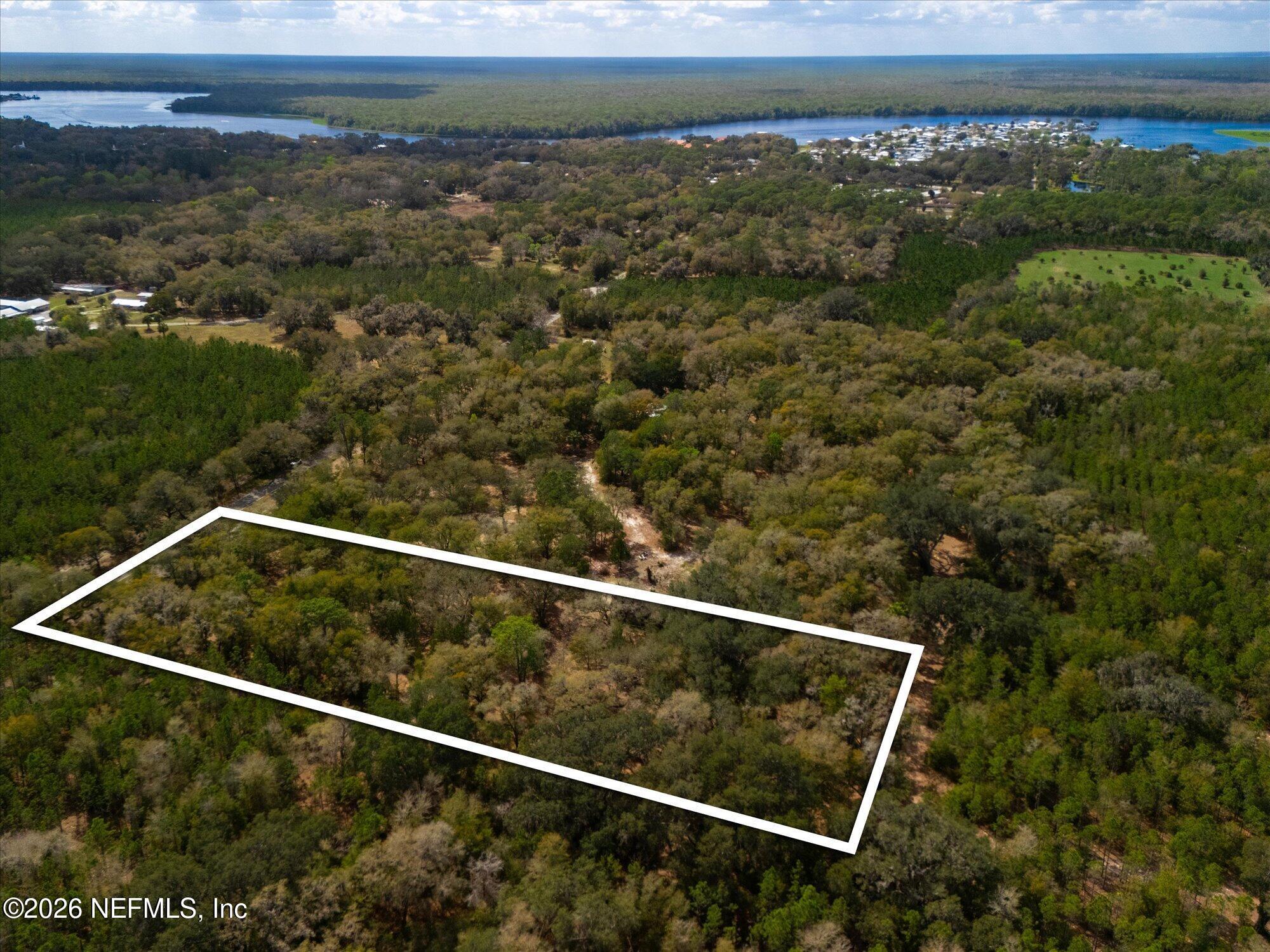 660 Old Welaka Road Satsuma, FL 32189 - Photo 15 of 28 a view of a yard from a balcony