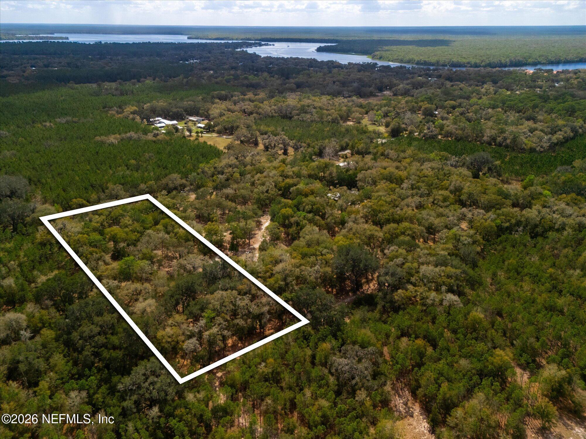 660 Old Welaka Road Satsuma, FL 32189 - Photo 16 of 28 a view of a small yard