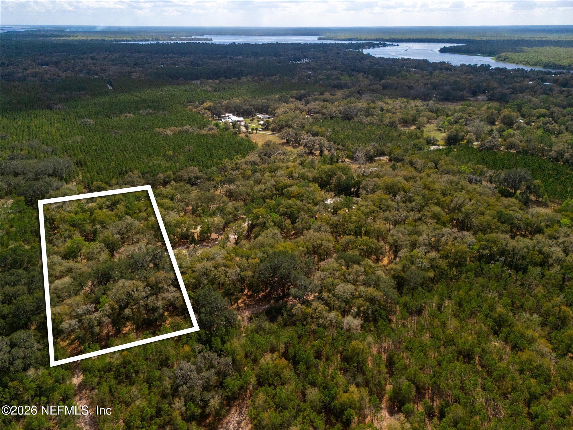 660 Old Welaka Road Satsuma, FL 32189 - Photo 17 of 28 a view of a yard