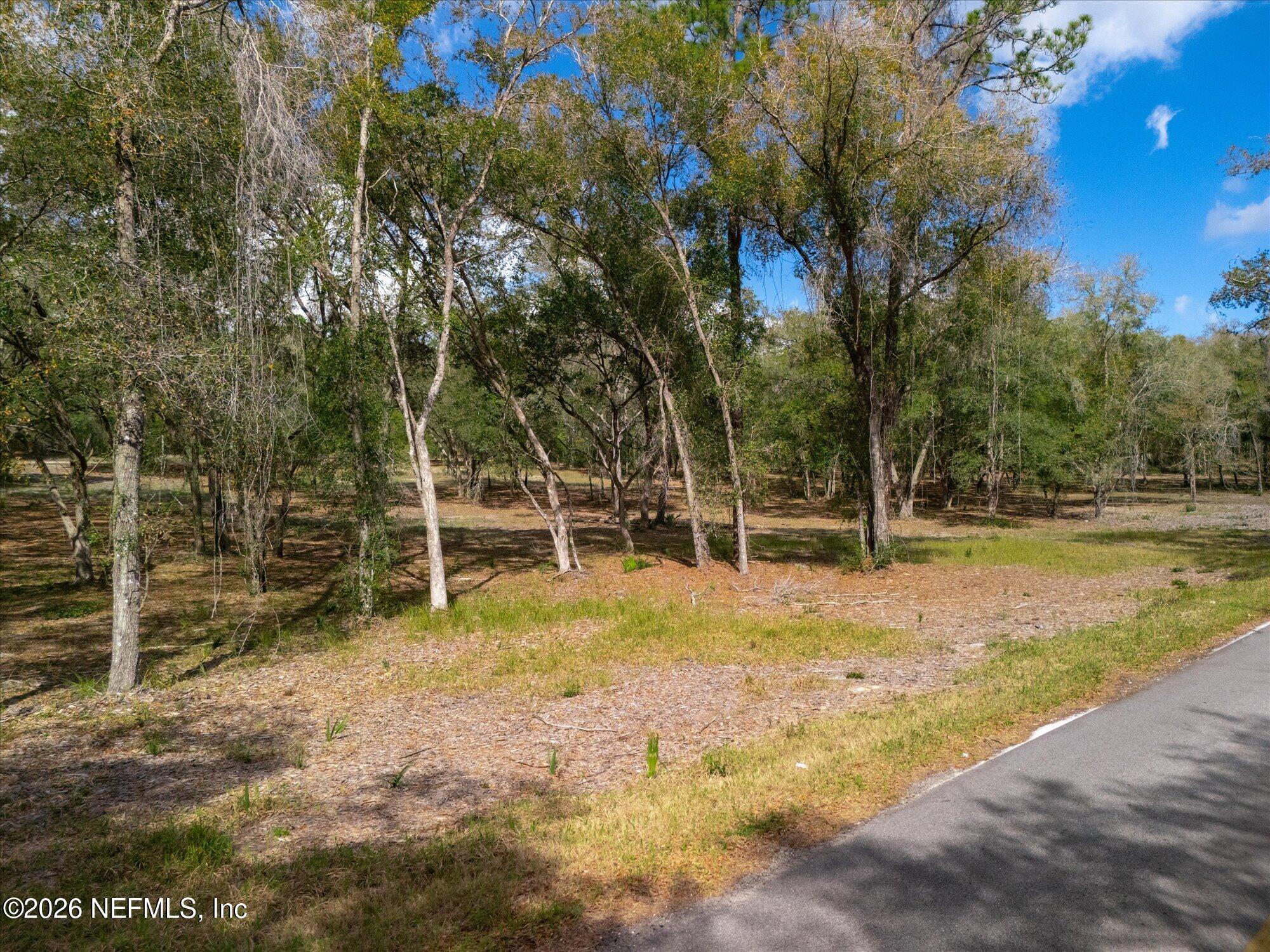 660 Old Welaka Road Satsuma, FL 32189 - Photo 23 of 28 a view of outdoor space with trees