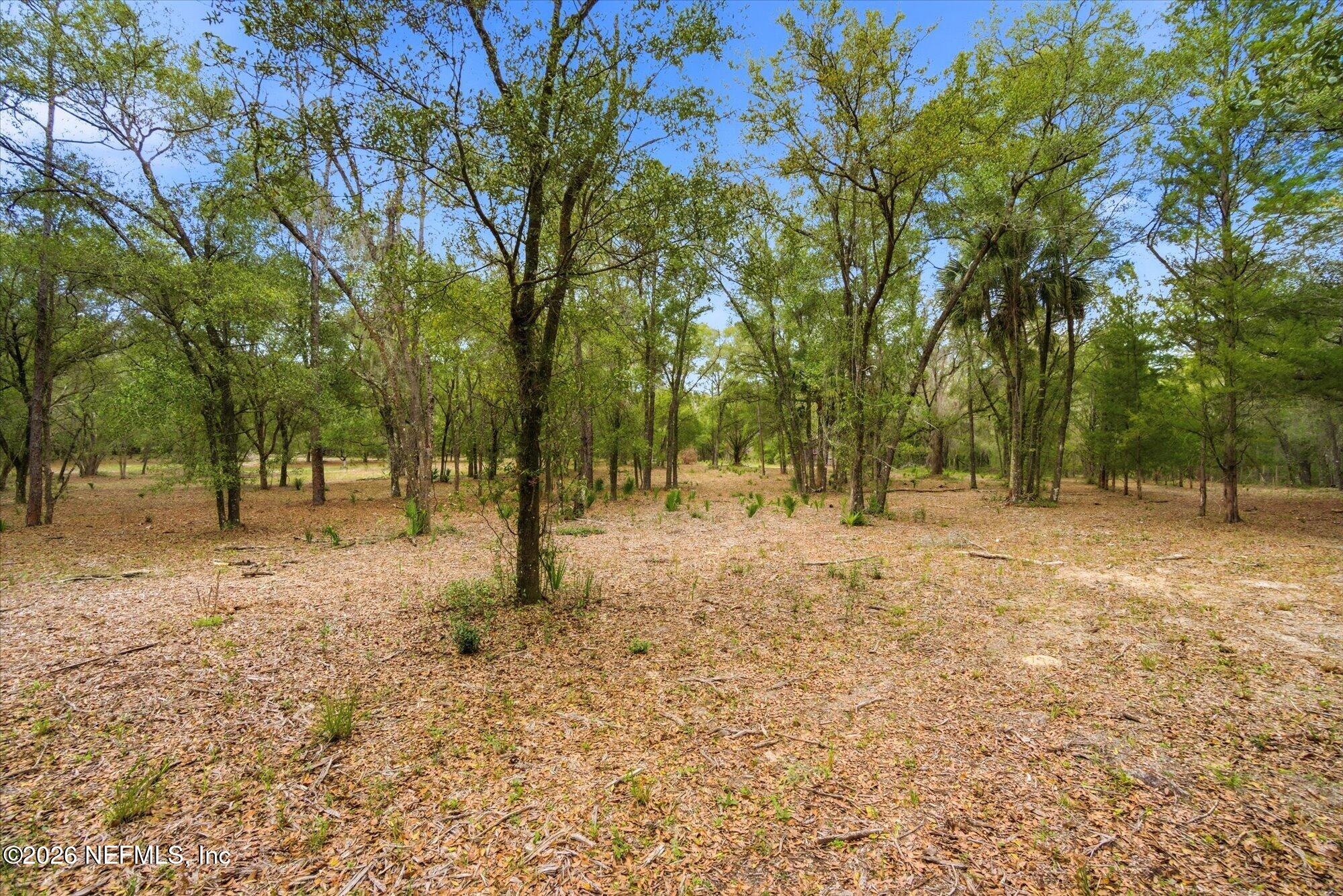 660 Old Welaka Road Satsuma, FL 32189 - Photo 25 of 28 a view of road with trees