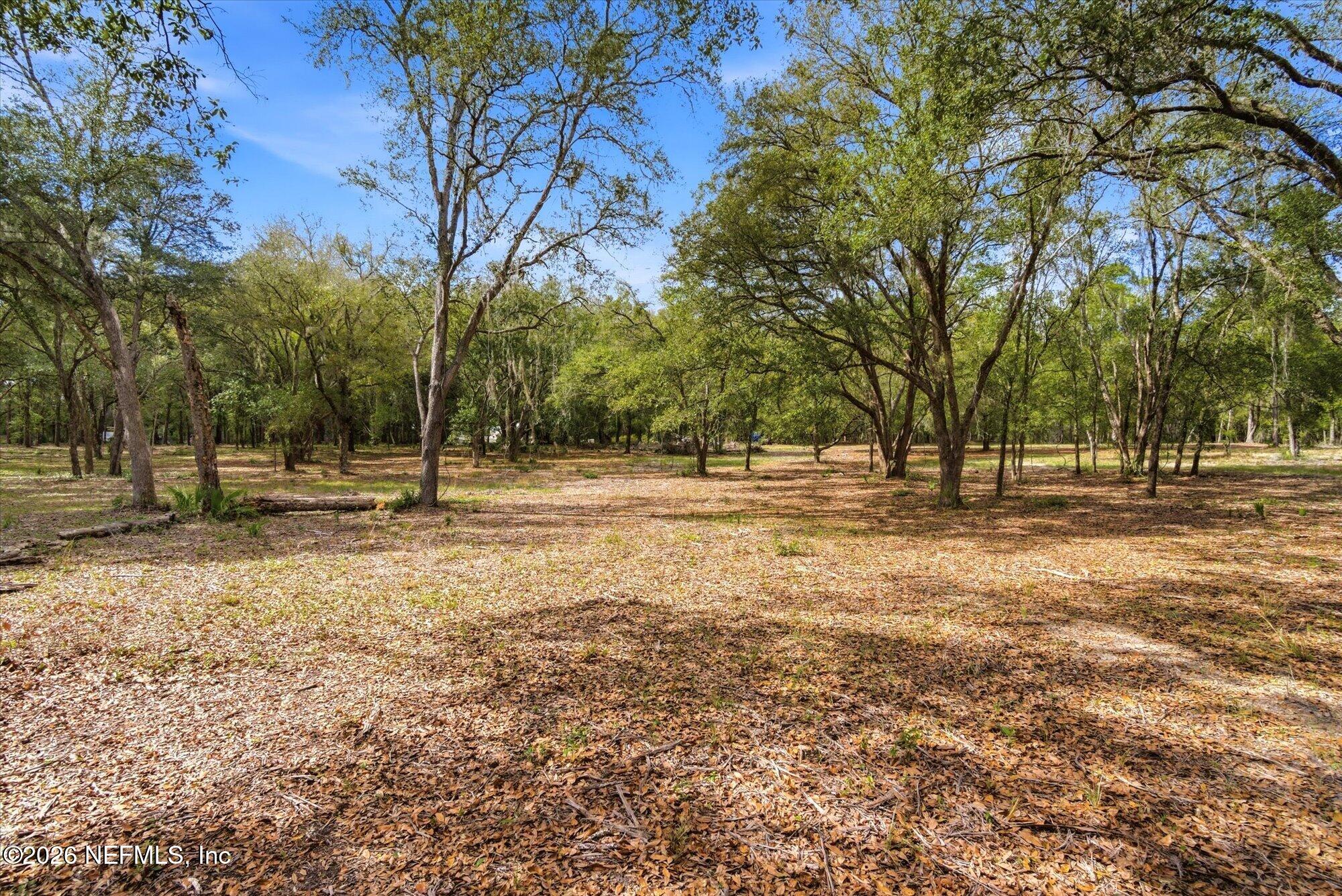 660 Old Welaka Road Satsuma, FL 32189 - Photo 27 of 28 a view of outdoor space with trees