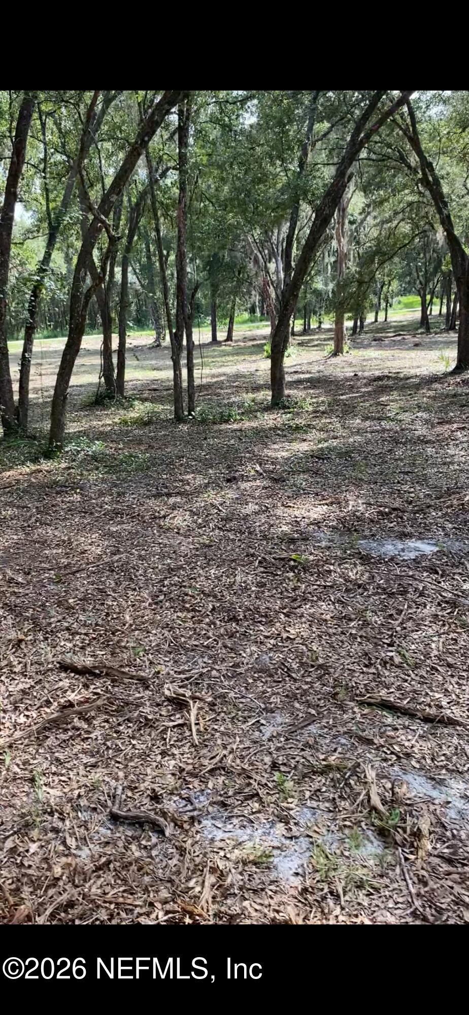 660 Old Welaka Road Satsuma, FL 32189 - Photo 28 of 28 a view of outdoor space with deck and tree