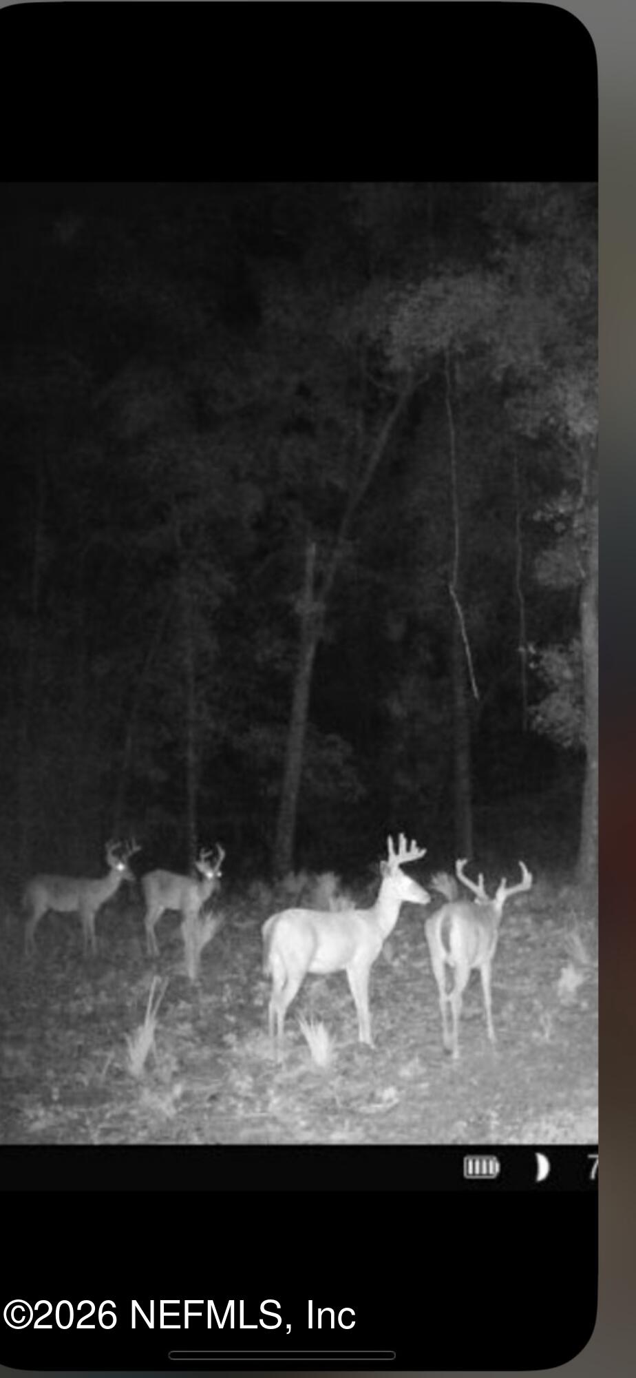 660 Old Welaka Road Satsuma, FL 32189 - Photo 8 of 28