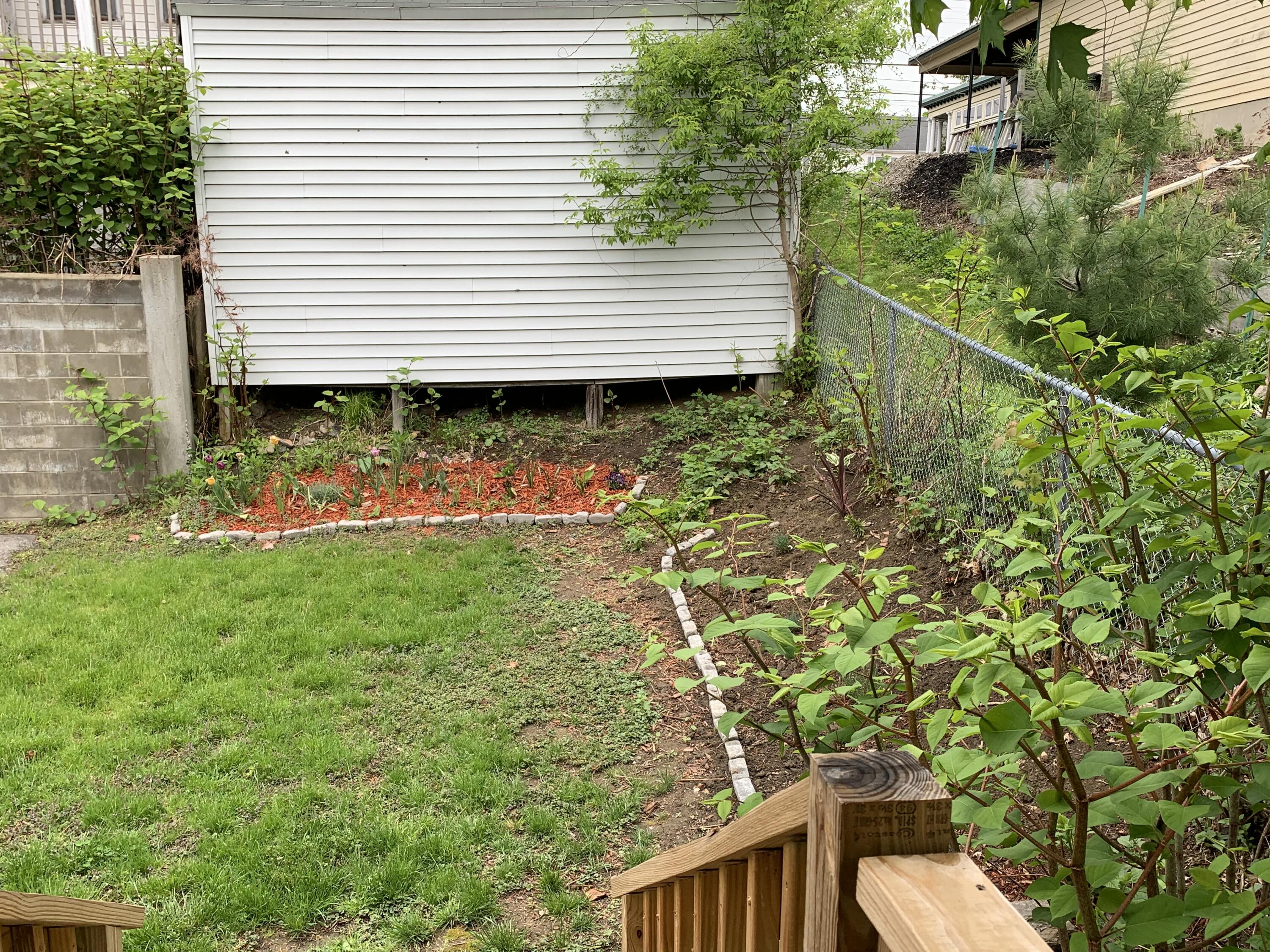 246 Oak Street Lewiston, ME 04240 - Photo 6 of 24 IMG_1868