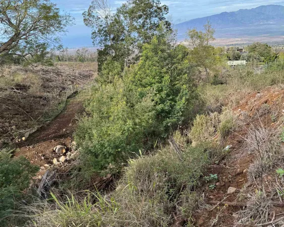 a view of a lake with a mountain