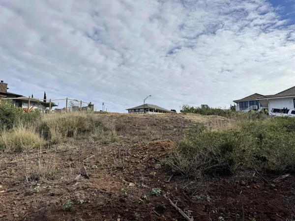 a view of a large yard with lots of trees