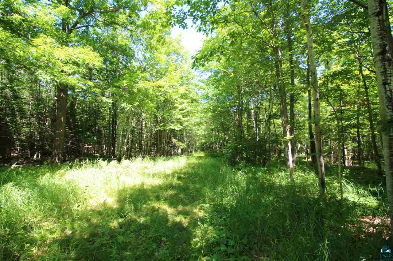 89-bbb Lot 2 Bark Point Road Herbster, WI 54844 - Photo 14 of 38 Gallery Image 14