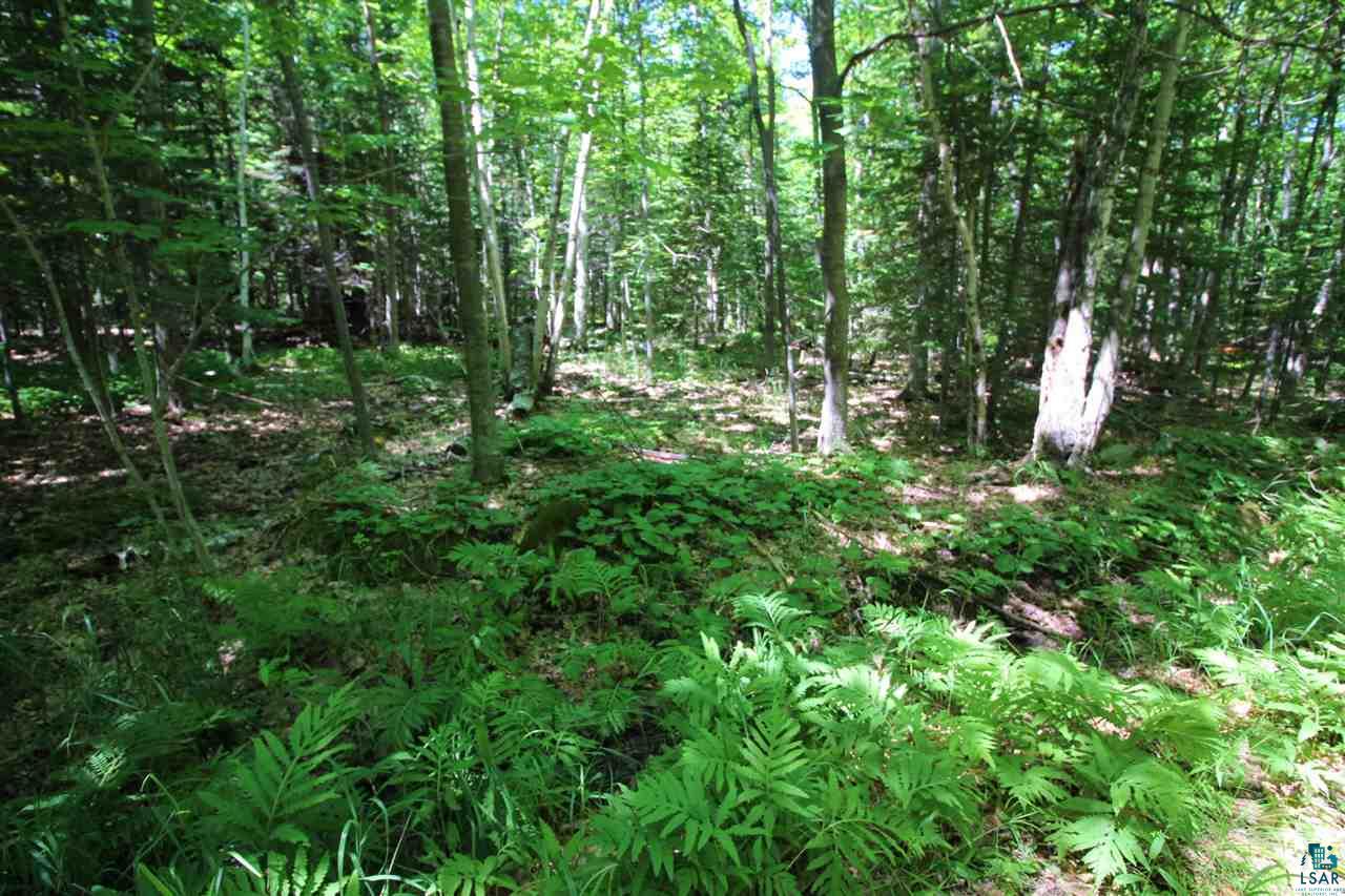 89-bbb Lot 2 Bark Point Road Herbster, WI 54844 - Photo 15 of 38 Gallery Image 15