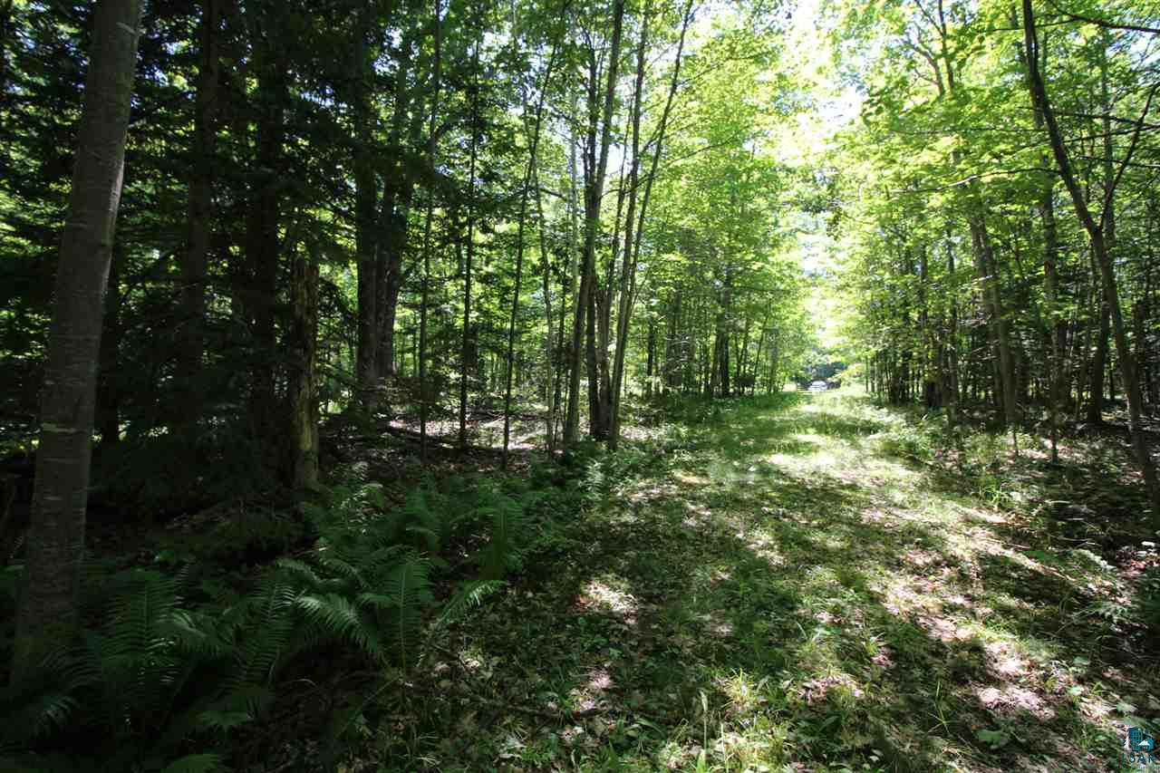 89-bbb Lot 2 Bark Point Road Herbster, WI 54844 - Photo 18 of 38 Gallery Image 18