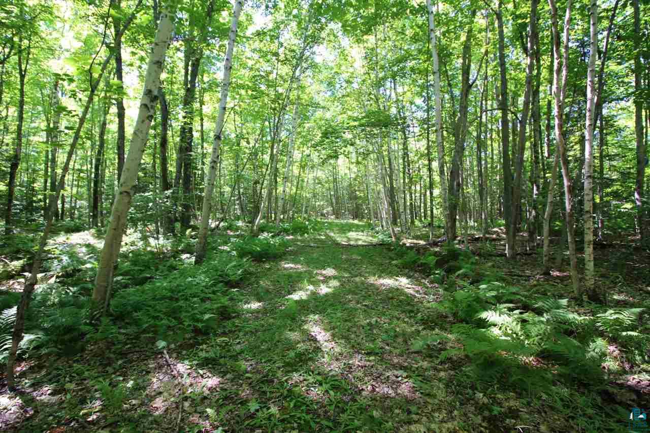 89-bbb Lot 2 Bark Point Road Herbster, WI 54844 - Photo 24 of 38 Gallery Image 24