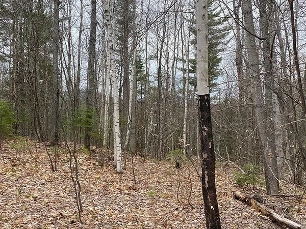 $60,000 | Lot 2 Route 26 Vermontville Ny 12989, Vermontville, NY 12989