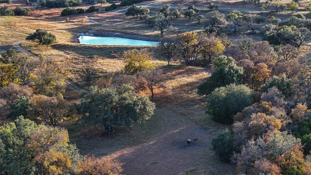 a view of a yard with plants