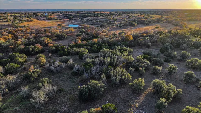a view of a forest with a street