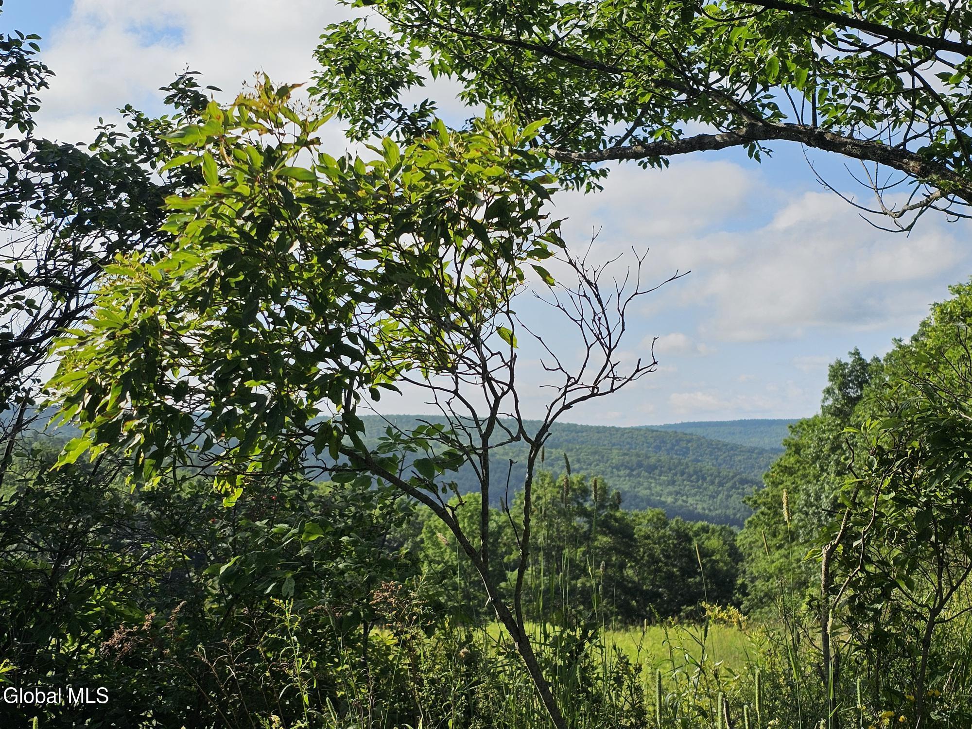 L-11 Earls Road Middleburgh, NY 12122 - Photo 11 of 15 20260709_085807