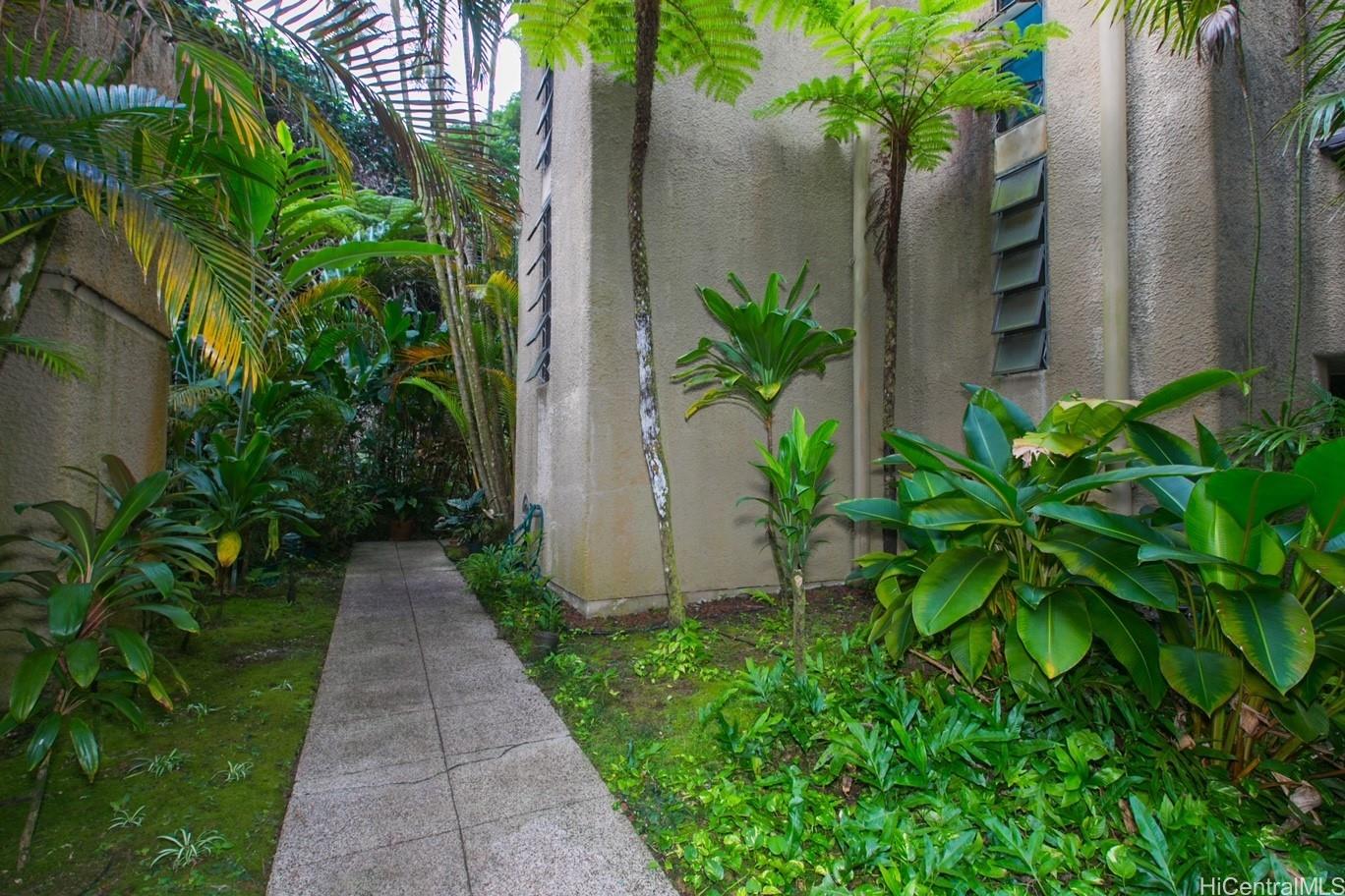 a view of a backyard with plants