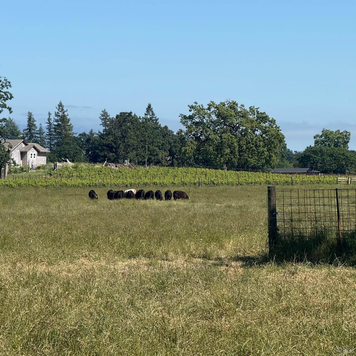 5820 Hall Road Santa Rosa, CA 95401 - Photo 45 of 53