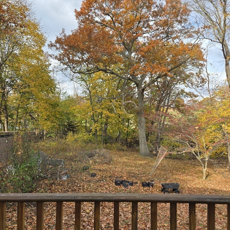 22 Hope Avenue, Unit 22 Milton, MA 02186 - Photo 34 of 36 a view of a yard