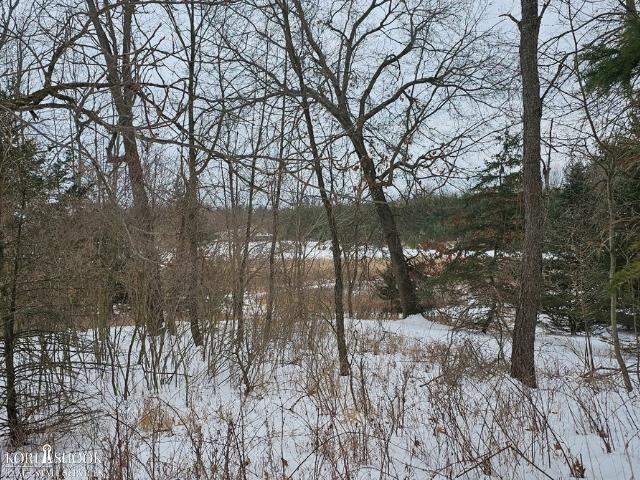 3877 Upton Road Ovid, MI 48866 - Photo 3 of 5
