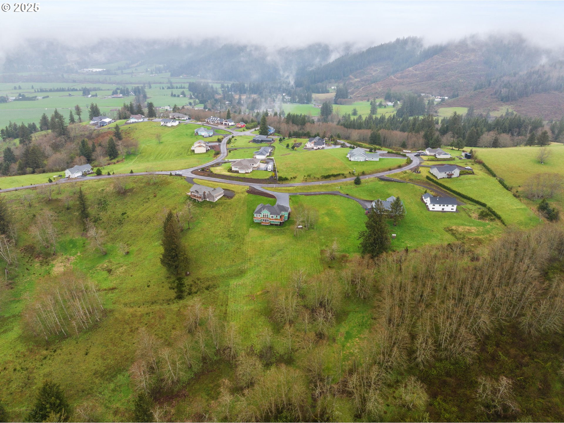 0 Skyview Road, Unit 410604 Tillamook, OR 97141 - Photo 4 of 12