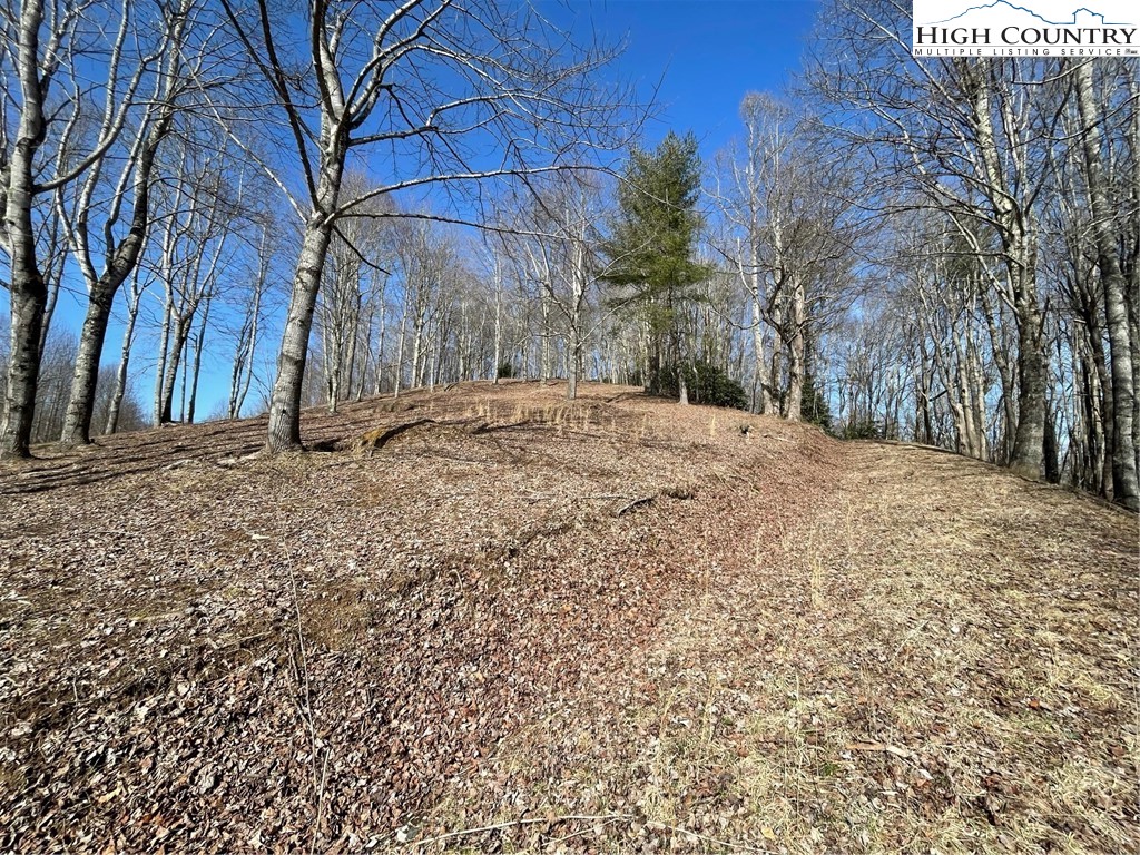 1 Jackson Ridge Road Boone, NC 28607 - Photo 1 of 14