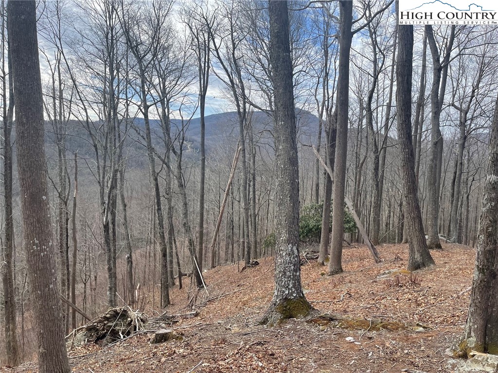 1 Jackson Ridge Road Boone, NC 28607 - Photo 11 of 14