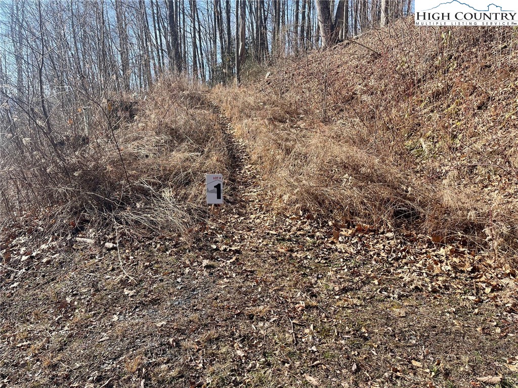 1 Jackson Ridge Road Boone, NC 28607 - Photo 13 of 14