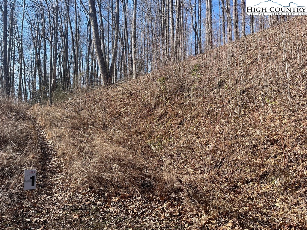 1 Jackson Ridge Road Boone, NC 28607 - Photo 14 of 14