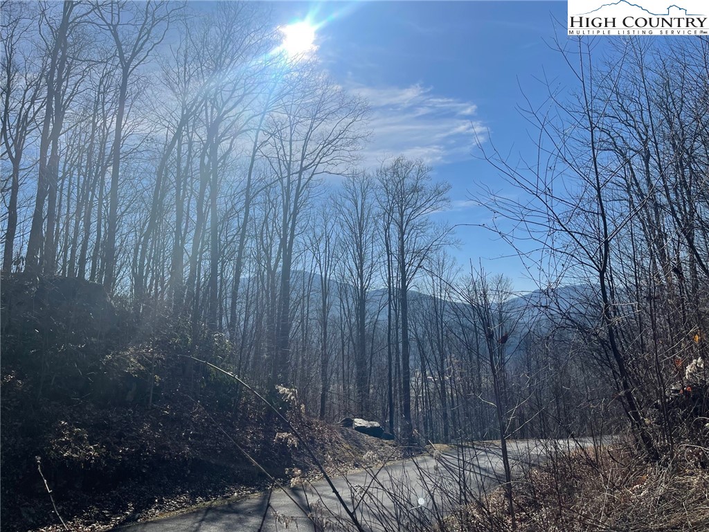 1 Jackson Ridge Road Boone, NC 28607 - Photo 4 of 14