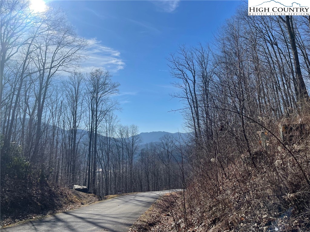 1 Jackson Ridge Road Boone, NC 28607 - Photo 5 of 14