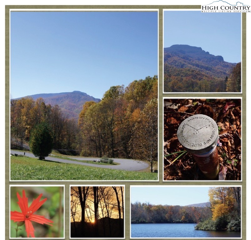 1 Jackson Ridge Road Boone, NC 28607 - Photo 7 of 14